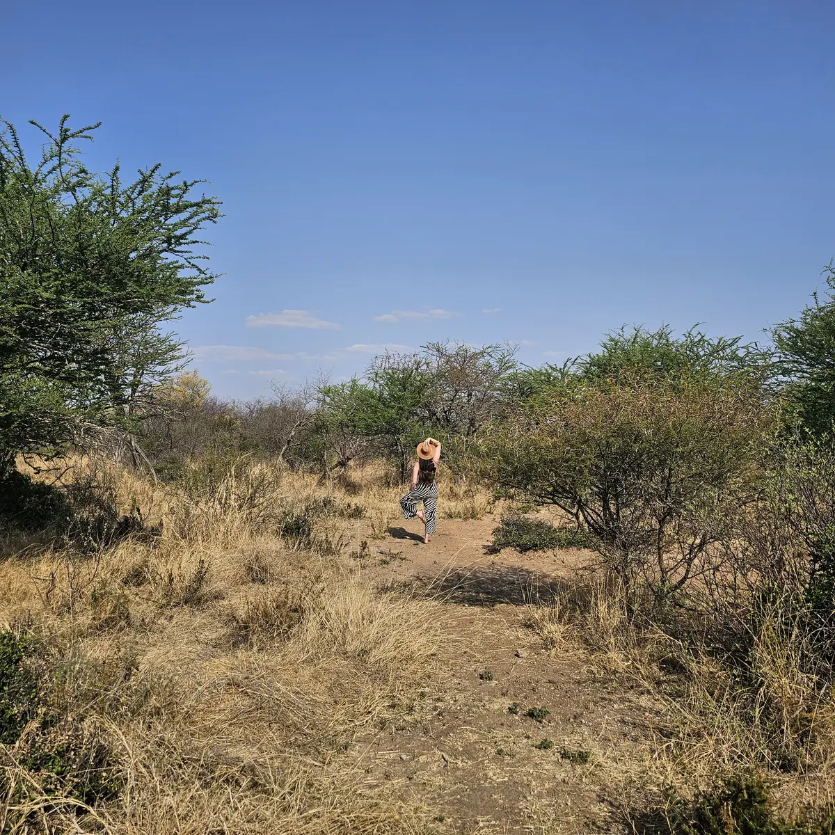 A walker in a sun hat on a path through dry grass and thornveld