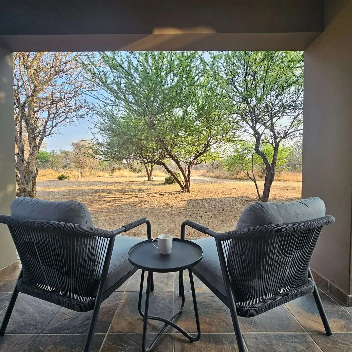 Covered patio with two woven armchairs and a coffee mug on a side table, bushveld trees beyond
