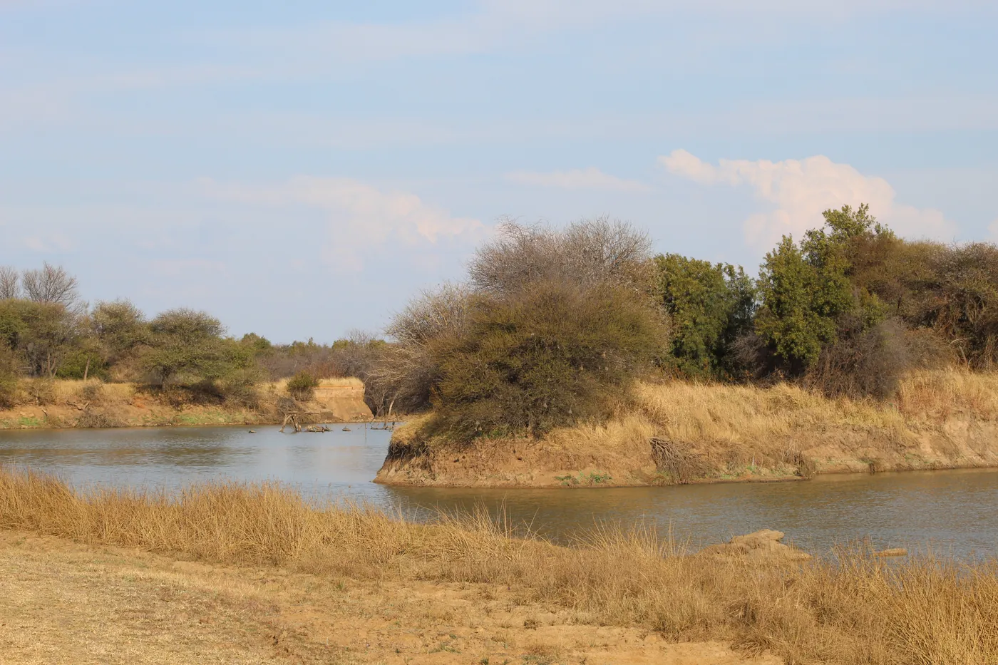 Calm water of a dam with dry grass banks and bushveld trees