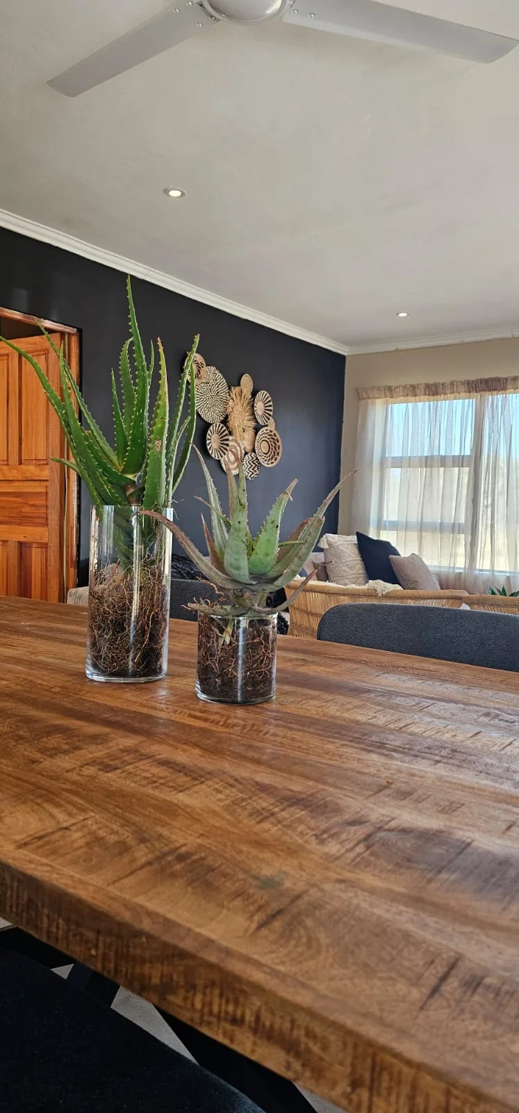 Wooden dining table with aloe plants in the open-plan living area