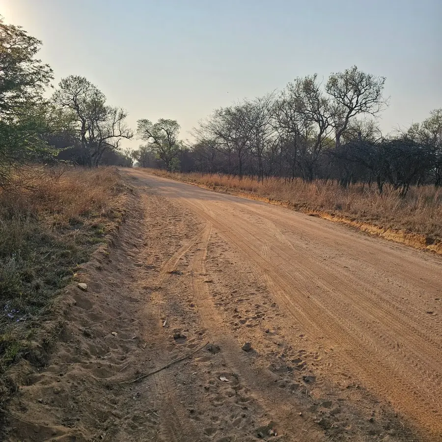 A red gravel road running through dry bushveld under a pale sky